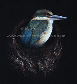 New Zealand kingfisher print